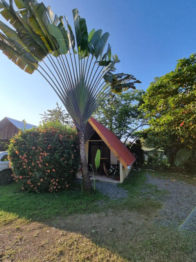Ballena Oasis Homes & Glamping Увіта Екстер'єр фото