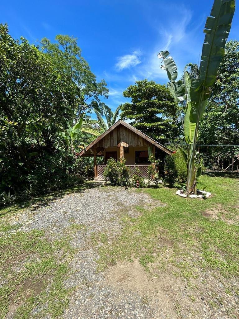 Ballena Oasis Homes & Glamping Увіта Екстер'єр фото