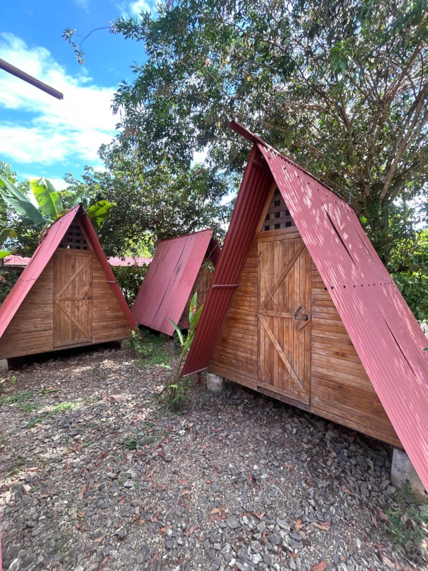 Ballena Oasis Homes & Glamping Увіта Екстер'єр фото